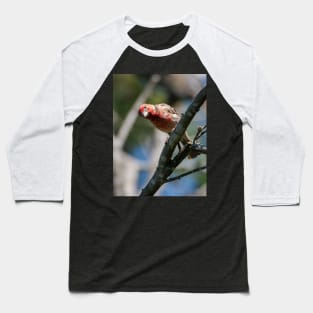 House Finch Hello You Baseball T-Shirt